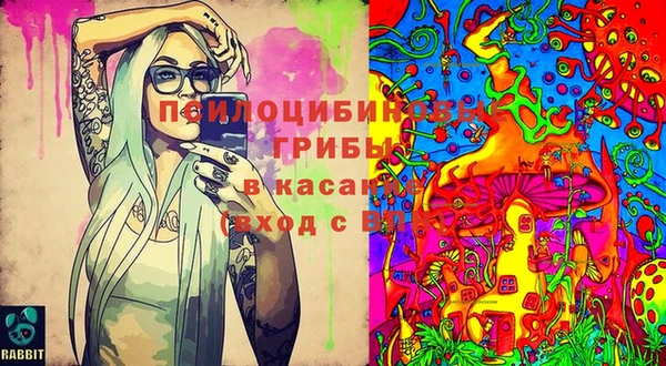 молекула духа Волоколамск