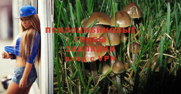 меф Чегем