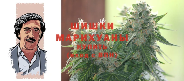 эйфоретик Чекалин