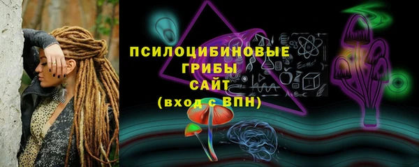 эйфоретик Чекалин