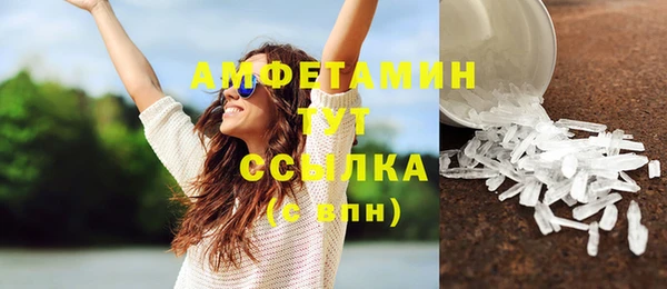 молекула духа Волоколамск