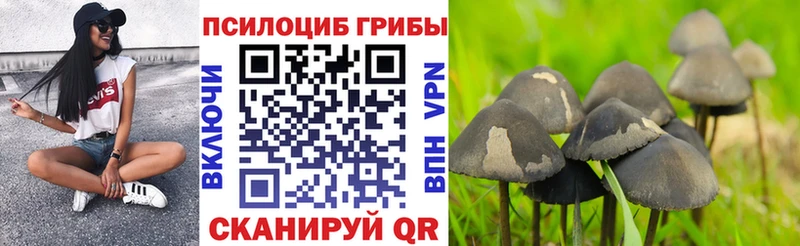 магазин продажи наркотиков  blacksprut зеркало  Галлюциногенные грибы Magic Shrooms  Макарьев 